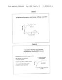 RECOMBINANT BIOTIN CARBOXYLASE DOMAINS FOR IDENTIFICATION OF ACETYL CoA CARBOXYLASE INHIBITORS diagram and image