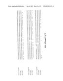 RECOMBINANT BIOTIN CARBOXYLASE DOMAINS FOR IDENTIFICATION OF ACETYL CoA CARBOXYLASE INHIBITORS diagram and image