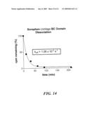 RECOMBINANT BIOTIN CARBOXYLASE DOMAINS FOR IDENTIFICATION OF ACETYL CoA CARBOXYLASE INHIBITORS diagram and image