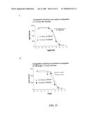 RECOMBINANT BIOTIN CARBOXYLASE DOMAINS FOR IDENTIFICATION OF ACETYL CoA CARBOXYLASE INHIBITORS diagram and image