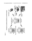 DISEASE MODEL INCORPORATION INTO AN ARTIFICIAL IMMUNE SYSTEM (AIS) diagram and image