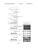 DEVICE CONTAINING CYTOPHILIC ISLANDS THAT ADHERE CELLS SEPARATED BY CYTOPHOBIC REGIONS diagram and image