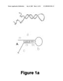 Versatile nucleic acid hairpin motif for programming biomolecular self-assembly pathways diagram and image