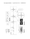 Versatile nucleic acid hairpin motif for programming biomolecular self-assembly pathways diagram and image