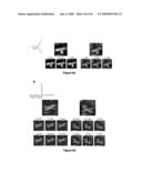 Versatile nucleic acid hairpin motif for programming biomolecular self-assembly pathways diagram and image