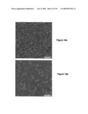 Versatile nucleic acid hairpin motif for programming biomolecular self-assembly pathways diagram and image