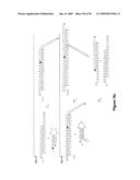 Versatile nucleic acid hairpin motif for programming biomolecular self-assembly pathways diagram and image