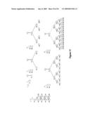 Versatile nucleic acid hairpin motif for programming biomolecular self-assembly pathways diagram and image