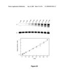 Versatile nucleic acid hairpin motif for programming biomolecular self-assembly pathways diagram and image