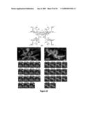 Versatile nucleic acid hairpin motif for programming biomolecular self-assembly pathways diagram and image