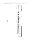 Flagellin Related Polypeptides and Uses Thereof diagram and image