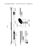 Flagellin Related Polypeptides and Uses Thereof diagram and image