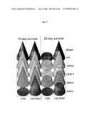 Flagellin Related Polypeptides and Uses Thereof diagram and image