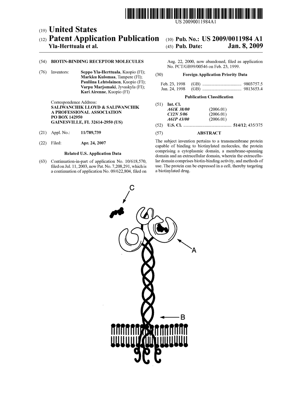 Biotin-binding receptor molecules - diagram, schematic, and image 01