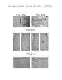 BIOCOMPATIBLE POLYMERS, PROCESS FOR THEIR PREPARATION AND COMPOSITIONS CONTAINING THEM diagram and image