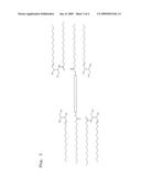 Oligomers of Straight-Chain and Unbranched Fatty Acids and Drugs Containing These diagram and image