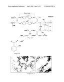 Use of Salicylate as an Antidote for Paraquat Intoxications in Mammals diagram and image