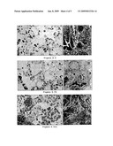 Use of Salicylate as an Antidote for Paraquat Intoxications in Mammals diagram and image