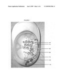 Portable wearable cold laser hair growth stimulator and skin treatment system diagram and image