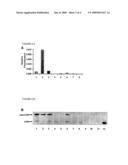 Transgenic Animals for Assessing Drug Metabolism and Toxicity in Man diagram and image