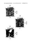 Material property measurements using multiple frequency atomic force microscopy diagram and image