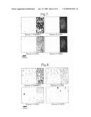 Dispersions, films, coatings and compositions diagram and image