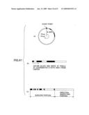 IMAGE DISPLAYING APPARATUS, IMAGE DISPLAYING METHOD, AND COMMAND INPUTTING METHOD diagram and image