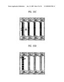 Liquid crystal display device and method for fabricating the same diagram and image