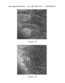 OPTICAL FIBER SCANNING APPARATUS diagram and image