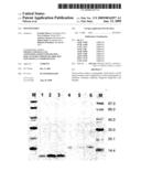 Polypeptides diagram and image