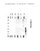 Polypeptides diagram and image