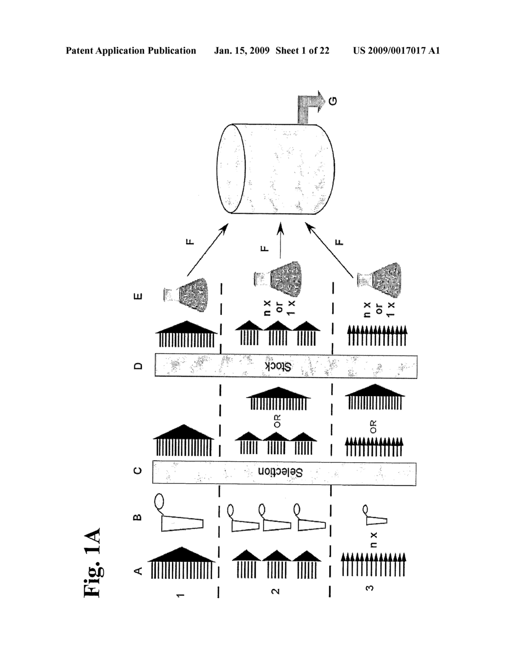 Anti-rhesus d recombinant polyclonal antibody and methods of manufacture - diagram, schematic, and image 02