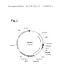 Anti-rhesus d recombinant polyclonal antibody and methods of manufacture diagram and image