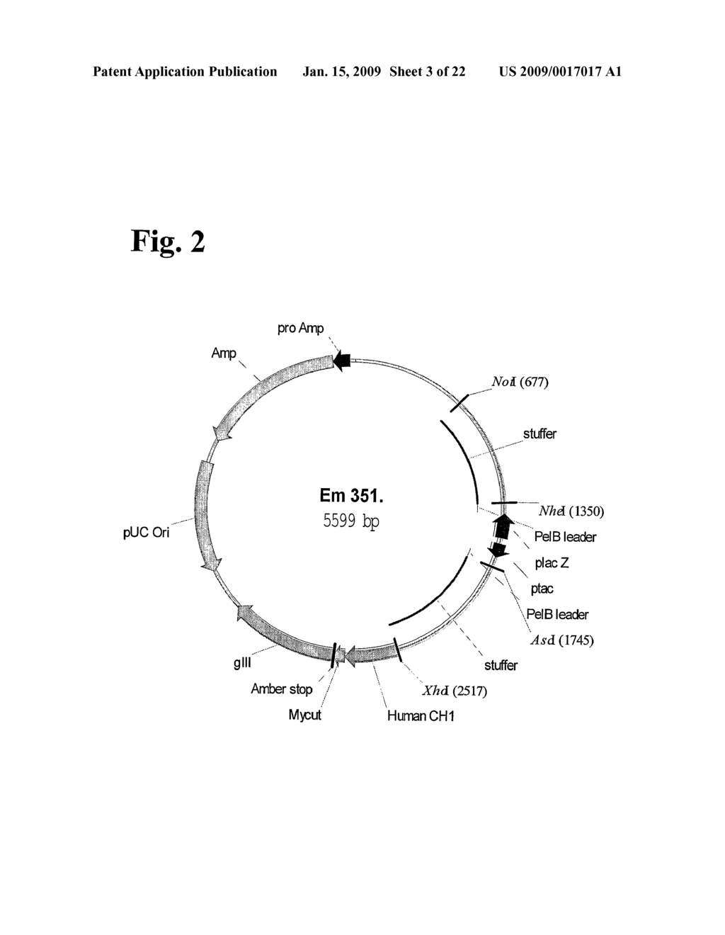 Anti-rhesus d recombinant polyclonal antibody and methods of manufacture - diagram, schematic, and image 04