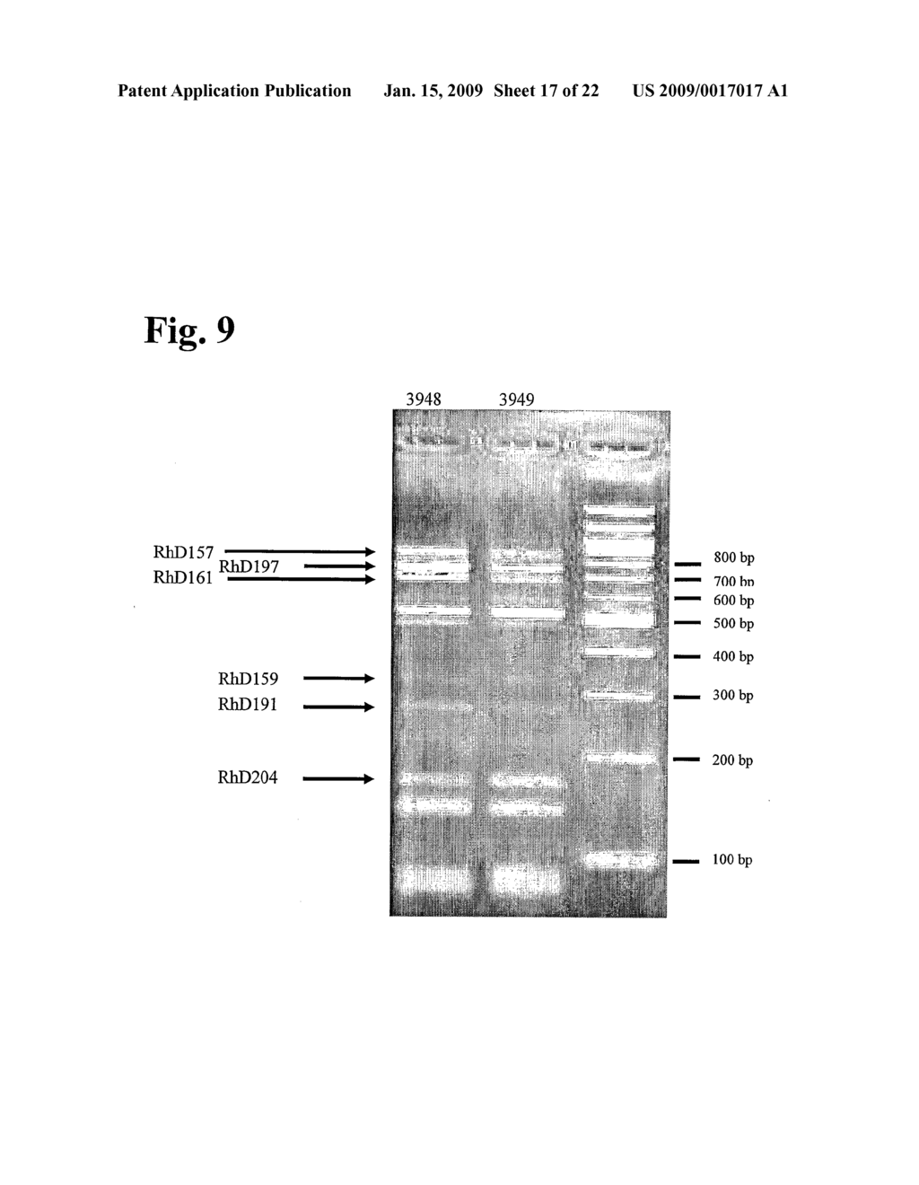 Anti-rhesus d recombinant polyclonal antibody and methods of manufacture - diagram, schematic, and image 18