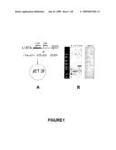 SKIN IMMUNIZATION USING LT-STA FUSION PROTEINS diagram and image