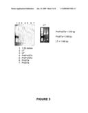 SKIN IMMUNIZATION USING LT-STA FUSION PROTEINS diagram and image