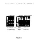 SKIN IMMUNIZATION USING LT-STA FUSION PROTEINS diagram and image