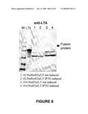 SKIN IMMUNIZATION USING LT-STA FUSION PROTEINS diagram and image