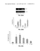 STIMULATION OF AN IMMUNE RESPONSE BY CATIONIC LIPIDS diagram and image