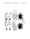 Cleavable Vaccine Compositions and Uses Thereof and Methods of Making and Using the Same diagram and image