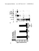 Cleavable Vaccine Compositions and Uses Thereof and Methods of Making and Using the Same diagram and image