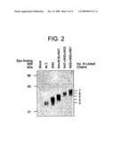 Methods and compositions for the prevention and treatment of anemia diagram and image