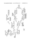 TOPICAL COMPOSITION FOR THE TREATMENT OF HYPERPIGMENTED SKIN diagram and image