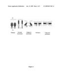 COMPOUNDS AND METHODS FOR ASSAYING FUSION OF AN INDIVIDUAL, ENVELOPED VIRUS WITH TARGET MEMBRANE diagram and image