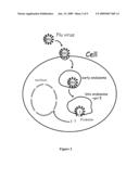 COMPOUNDS AND METHODS FOR ASSAYING FUSION OF AN INDIVIDUAL, ENVELOPED VIRUS WITH TARGET MEMBRANE diagram and image