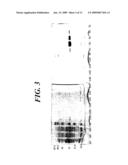 BIOSENSORS, METHOD FOR OBTAINING THE SAME AND USES THEREOF diagram and image