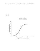 HIGH-THROUGHPUT ENZYME-LINKED IMMUNO ABSORBENT ASSAY (ELISA) FOR DETERMINATION OF RHO-KINASE (ROK) ACTIVITY diagram and image