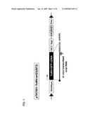 DNA Fragment Method for Producing Transformant for Protein Production and Utilization Thereof diagram and image