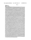 SVPH1-26 DNA and polypeptides diagram and image